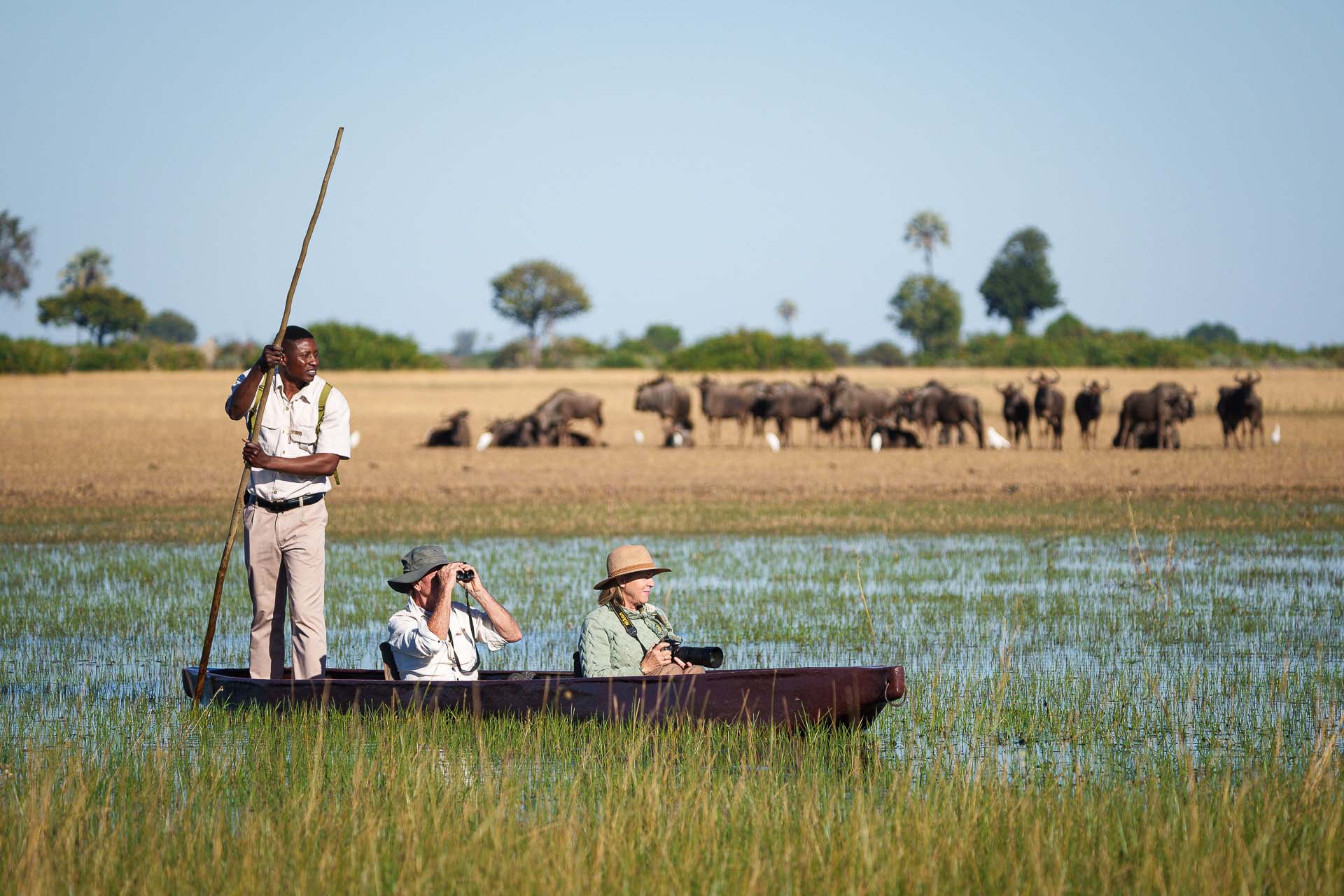 Botswana Luxury Safari and Tour
